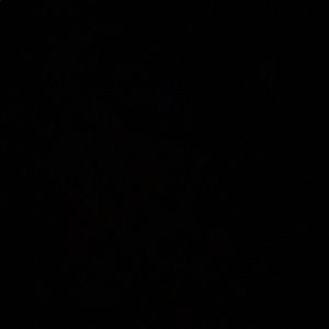 Meet your Posher, Landry